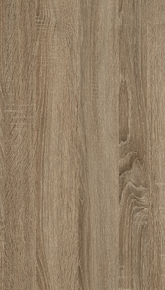 03R CAMBRIAN OAK
