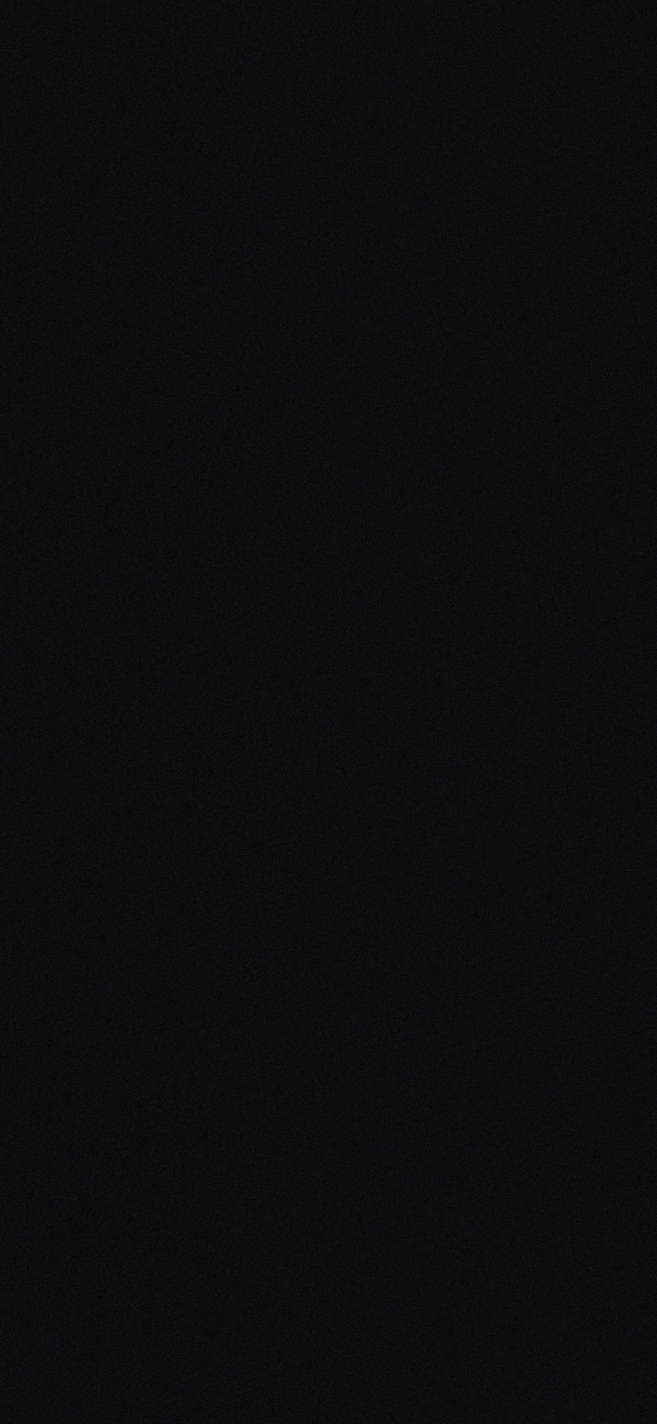 231 NEGRO